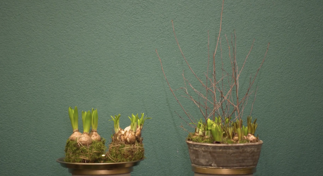 3 manieren om bloembollen te planten RTL.nl